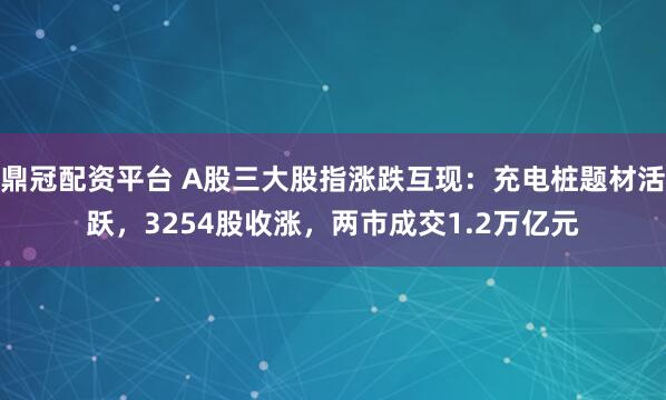 鼎冠配资平台 A股三大股指涨跌互现：充电桩题材活跃，3254股收涨，两市成交1.2万亿元