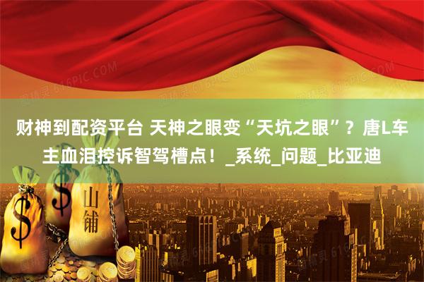 财神到配资平台 天神之眼变“天坑之眼”？唐L车主血泪控诉智驾槽点！_系统_问题_比亚迪