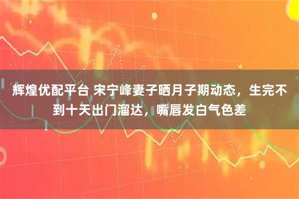 辉煌优配平台 宋宁峰妻子晒月子期动态，生完不到十天出门溜达，嘴唇发白气色差