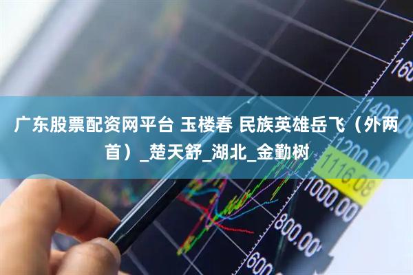 广东股票配资网平台 玉楼春 民族英雄岳飞（外两首）_楚天舒_湖北_金勤树