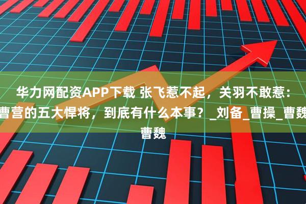 华力网配资APP下载 张飞惹不起，关羽不敢惹：曹营的五大悍将，到底有什么本事？_刘备_曹操_曹魏
