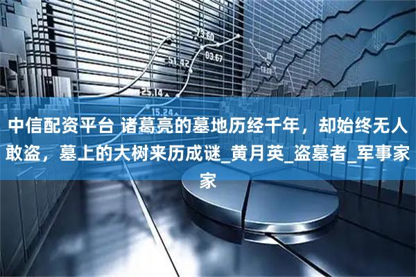 中信配资平台 诸葛亮的墓地历经千年，却始终无人敢盗，墓上的大树来历成谜_黄月英_盗墓者_军事家
