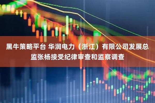 黑牛策略平台 华润电力（浙江）有限公司发展总监张杨接受纪律审查和监察调查