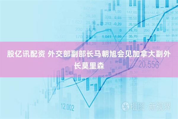 股亿讯配资 外交部副部长马朝旭会见加拿大副外长莫里森
