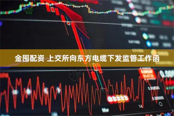 金囤配资 上交所向东方电缆下发监管工作函